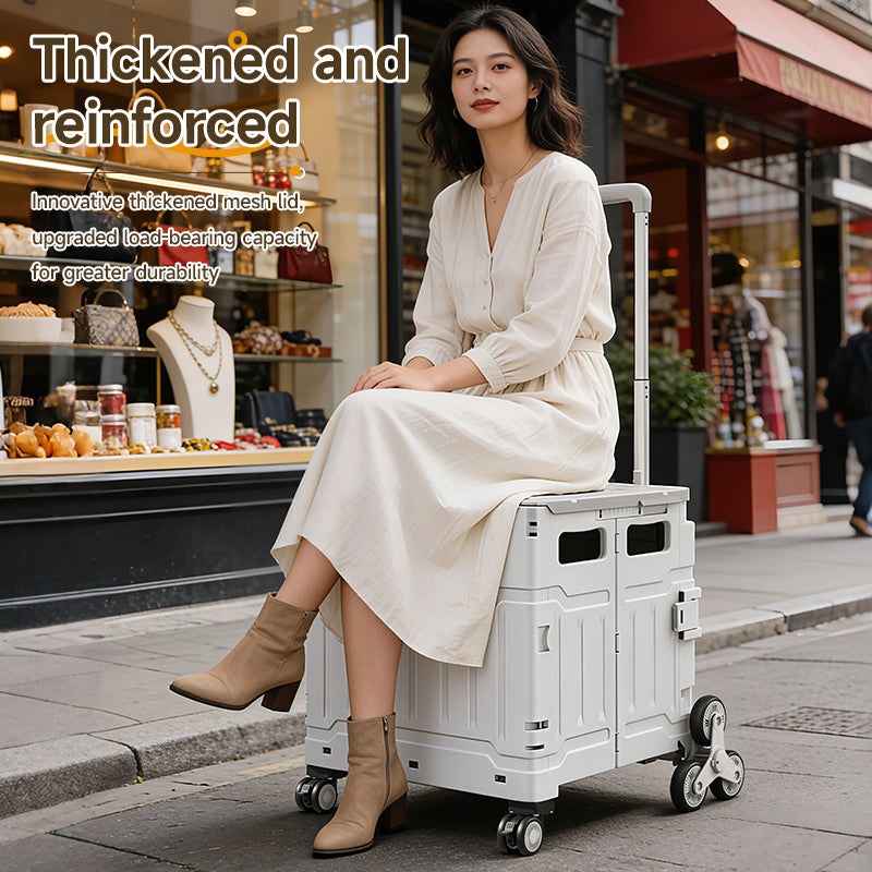 AEELLEEA Foldable Utility Cart with Lid, Portable Rolling Crate with Telescopic Handle & Stair Climbing Wheels, Collapsible Shopping Cart for Grocery, Picnic & Camping