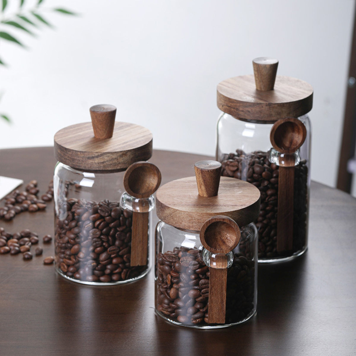 Glass Coffee Bean Storage Jar with Wooden Lid and Spoon, Clear Kitchen Canister, 15/18.5/25 oz