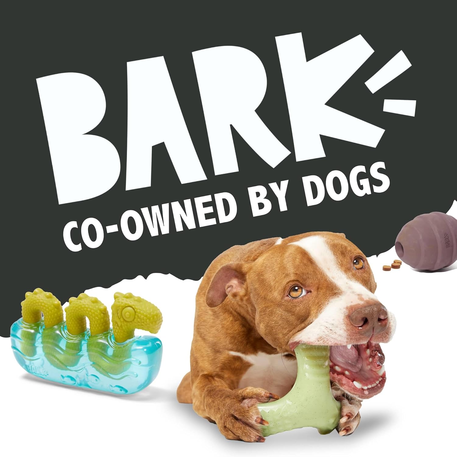 Barkbox Grey Bear Hugger Super Chewer 2-in-1 Plush Exterior Hard Core Plush Toy, Large Breeds
