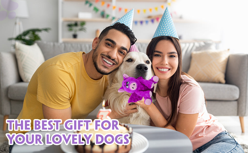 Large Squeaky Dog Toys, Plush Dog Toys with Crinkle Paper to Keep Them Busy, Stuffed Tough Chew Toys for Small Medium and Large Dogs