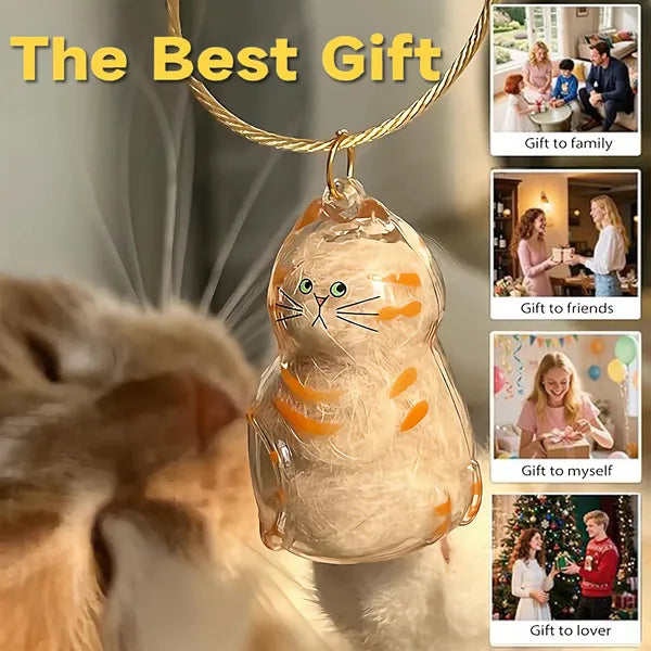 6-Piece Cat Hair Keepsake Keychain Set, Pet Fur Memorial Capsule Pendants, Clear Cat-Shaped Bag Charms