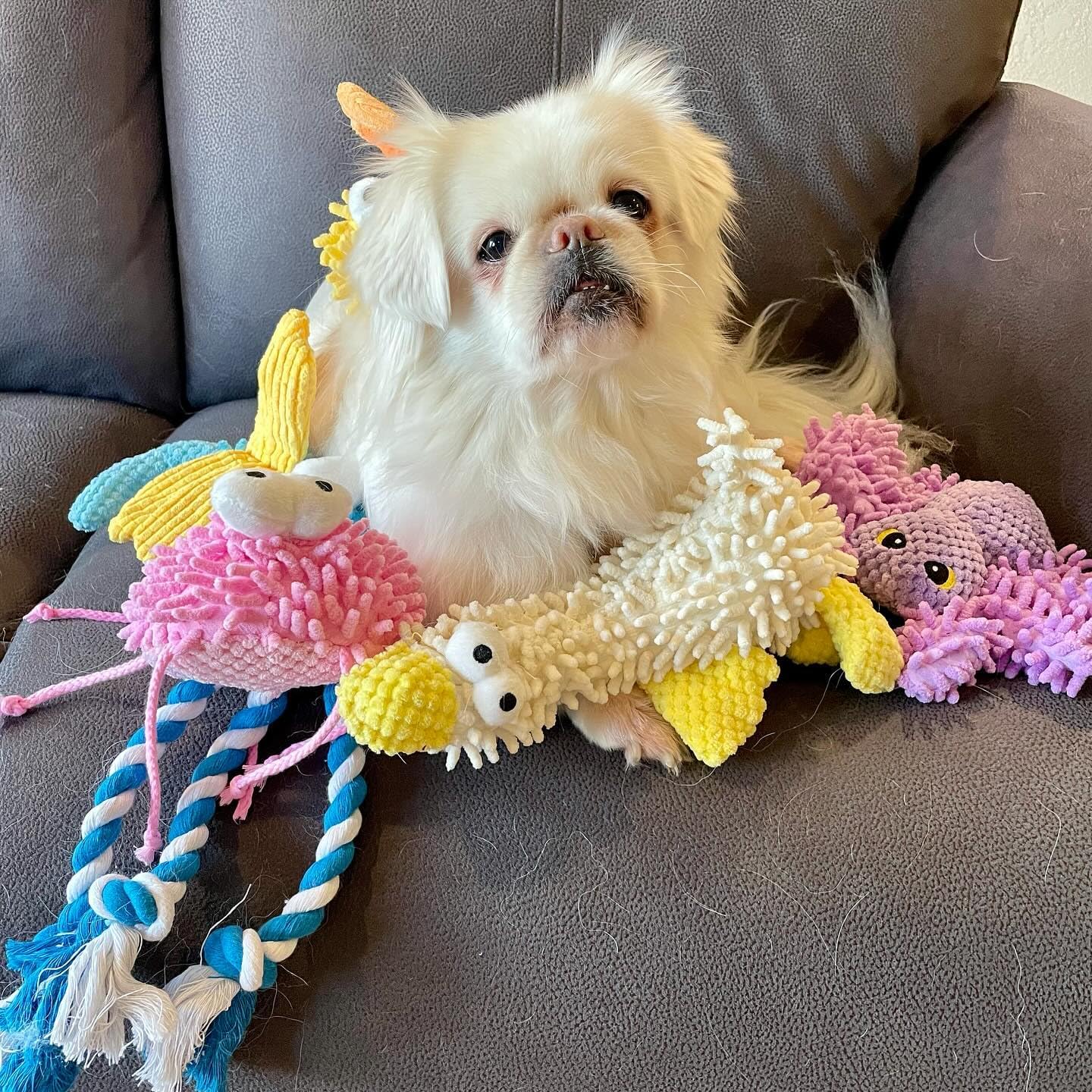 ZippyPaws Small Medium Large Dog Toys, Cute Soft Squeaky Crinkle Plush Stuffed Durable Pet Teething Animal Chew Toys for Small to Large Breed, Cognitive Stimuting Boredom Puppy Busy Birthdays Gifts