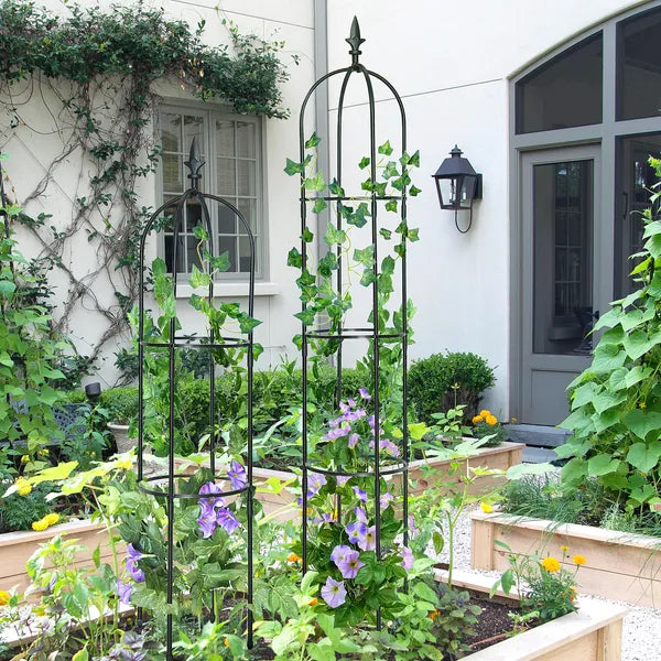 AEELLEEA Garden Obelisk Trellis 64.2" H x 10.2" W, Rustproof Adjustable Height Metal Plant Support for Climbing Roses Vines