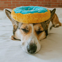 ZippyPaws NomNomz - Dog Squeaky Toys to Keep Them Busy, Funny Food Plush for Small & Medium Dogs, Cute Stuffed Puppy Toy, Pet Products, Gift for Dogs of All Breeds, Soft and Cuddly - Taco