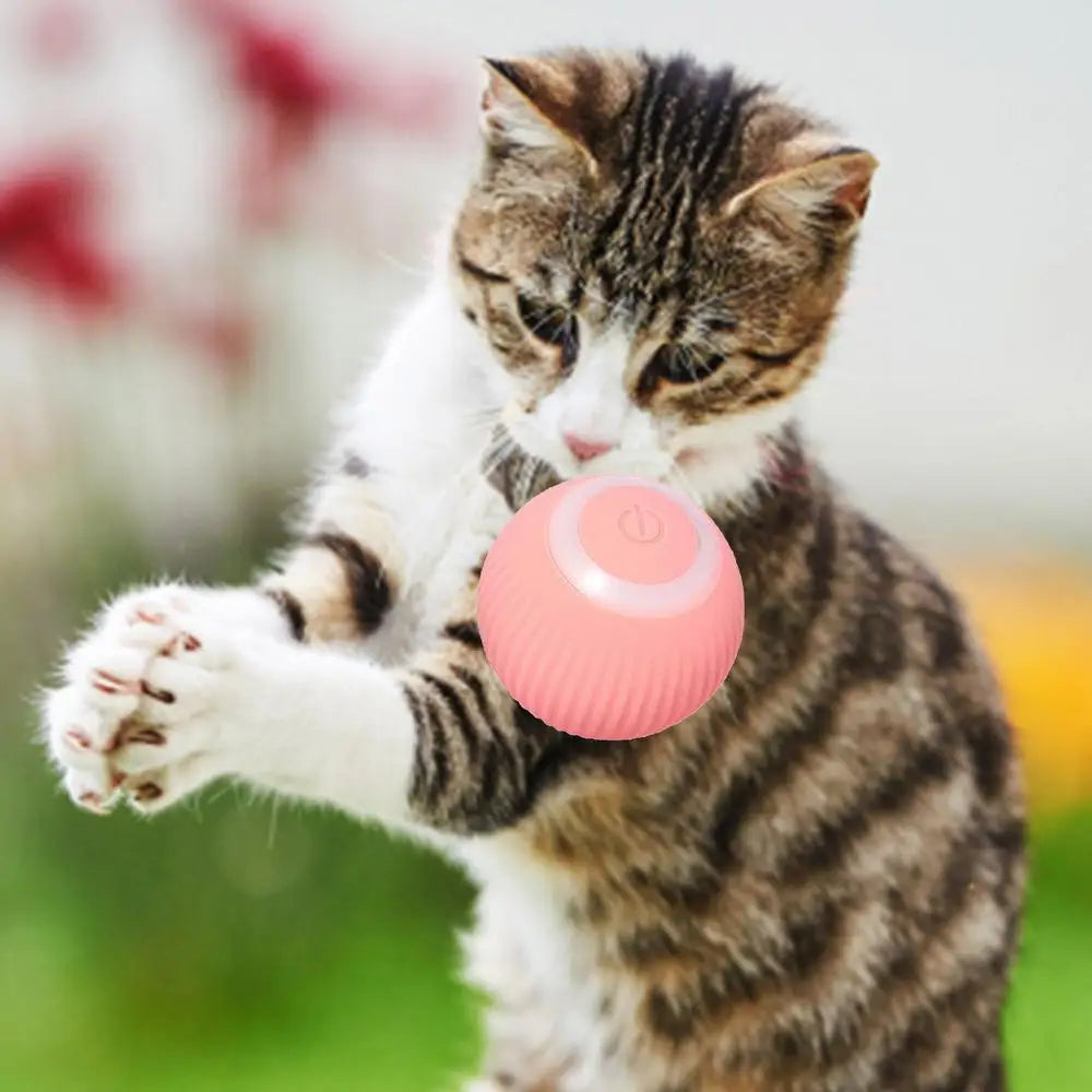 Automatic Rolling Cat Toy Ball, Interactive Smart Motion Activated Pet Play Ball for Indoor Cats & Kittens