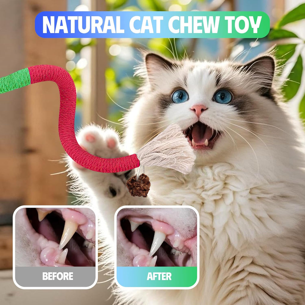 9 Pcs Cat Chew Rope Toys with Natural Catnip, Interactive Teeth Cleaning Toys for Indoor Cats, Silvervine & Sisal Kitty Toys for All Breeds