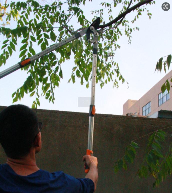 Telescoping Anvil Loppers, Heavy Duty Tree Trimmer, 27-41'' Adjustable Aluminum Handle, Pruning Loppers for Thick Branches up to 2 Inch