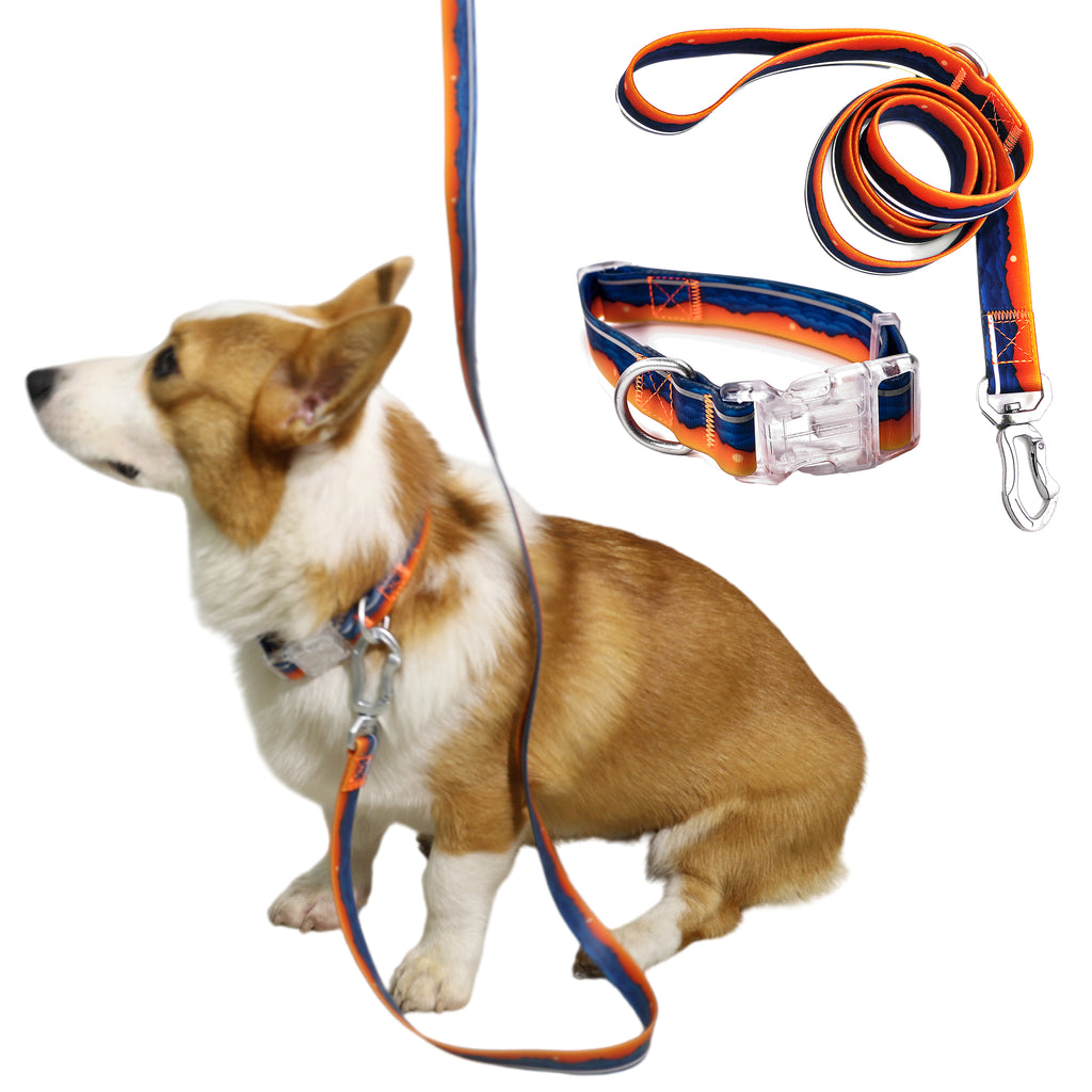 Bite Resistant Dog Collar & Leash Set, Duty Nylon Anti-Chew Pet Walking Lead with Quick Release Buckle for Small Medium Large Dogs Outdoor Walking