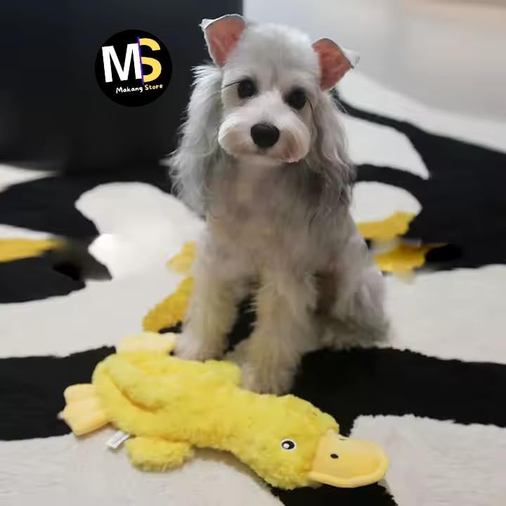 Makang Store, Crinkle Dog Toy for All Breeds Size; Cute No-Stuffing Duck with Soft Squeaker - Perfect for Indoor Puppies and Outdoor Senior Dogs. No-Mess Chew and Play - Yellow.