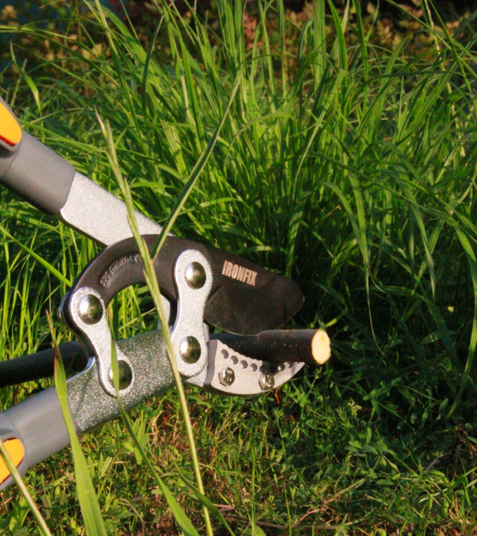 Telescoping Anvil Loppers, Heavy Duty Tree Trimmer, 27-41'' Adjustable Aluminum Handle, Pruning Loppers for Thick Branches up to 2 Inch