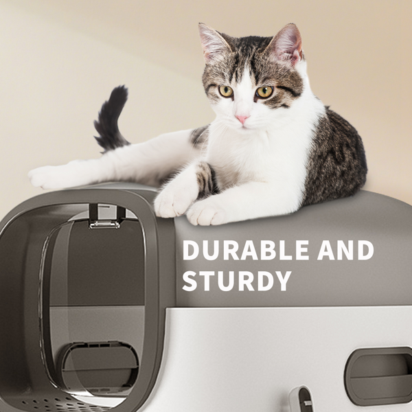 AEELLEEA Enclosed Cat Litter Box with Removable Lid, Litter Tracking Filter, Scoop Included, Gray and White, 22.05 x 15.75 x 15.75 in