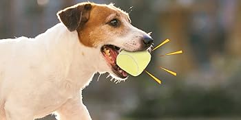 3-PACK Interactive Dog Toys Ball Suitable for Small and Medium Dogs, Soccer Ball, Football and Tennis Balls for Dogs, Stuffed with Fluffy Squeak Dog Toys, Puppy Dog Plush toys, Dog Birthday Gifts