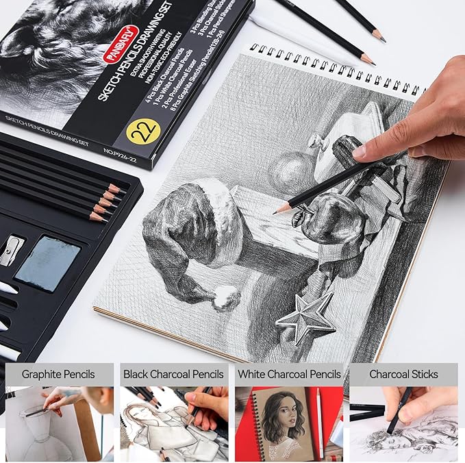22 Piece Drawing & Sketching Pencil Set, Professional Art Kit with Graphite Pencils (12B-2H), Black & White Charcoal Pencils, Sticks, Blending Stumps, Eraser & Sharpeners