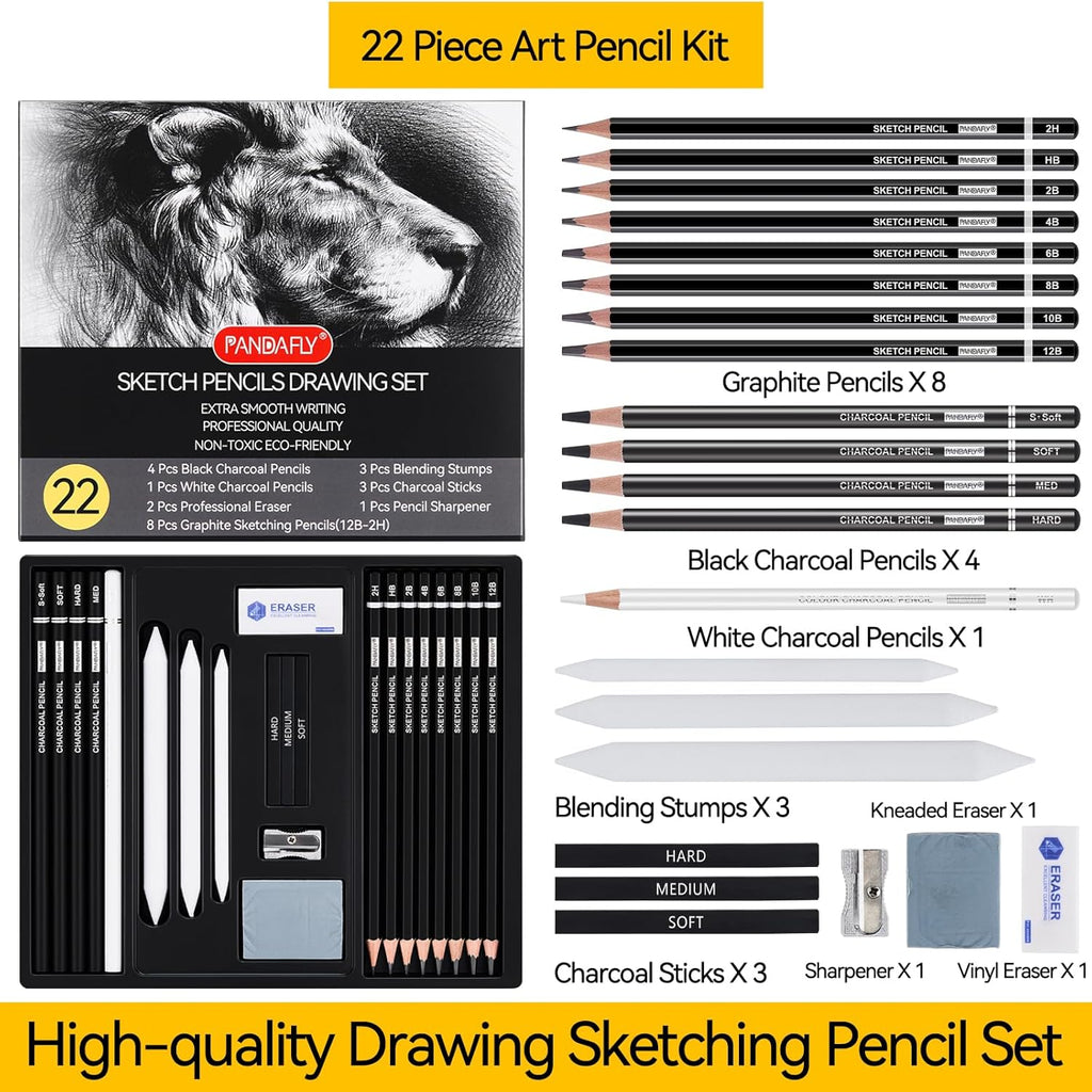 22 Piece Drawing & Sketching Pencil Set, Professional Art Kit with Graphite Pencils (12B-2H), Black & White Charcoal Pencils, Sticks, Blending Stumps, Eraser & Sharpeners