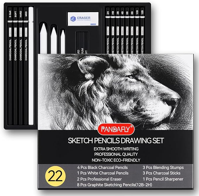 22 Piece Drawing & Sketching Pencil Set, Professional Art Kit with Graphite Pencils (12B-2H), Black & White Charcoal Pencils, Sticks, Blending Stumps, Eraser & Sharpeners