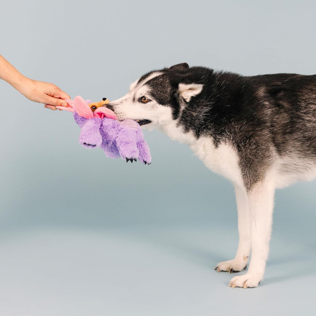 Fringe Studio Plush Dog Toy, I'll Grow On You, Pet Shop Collection (314199)