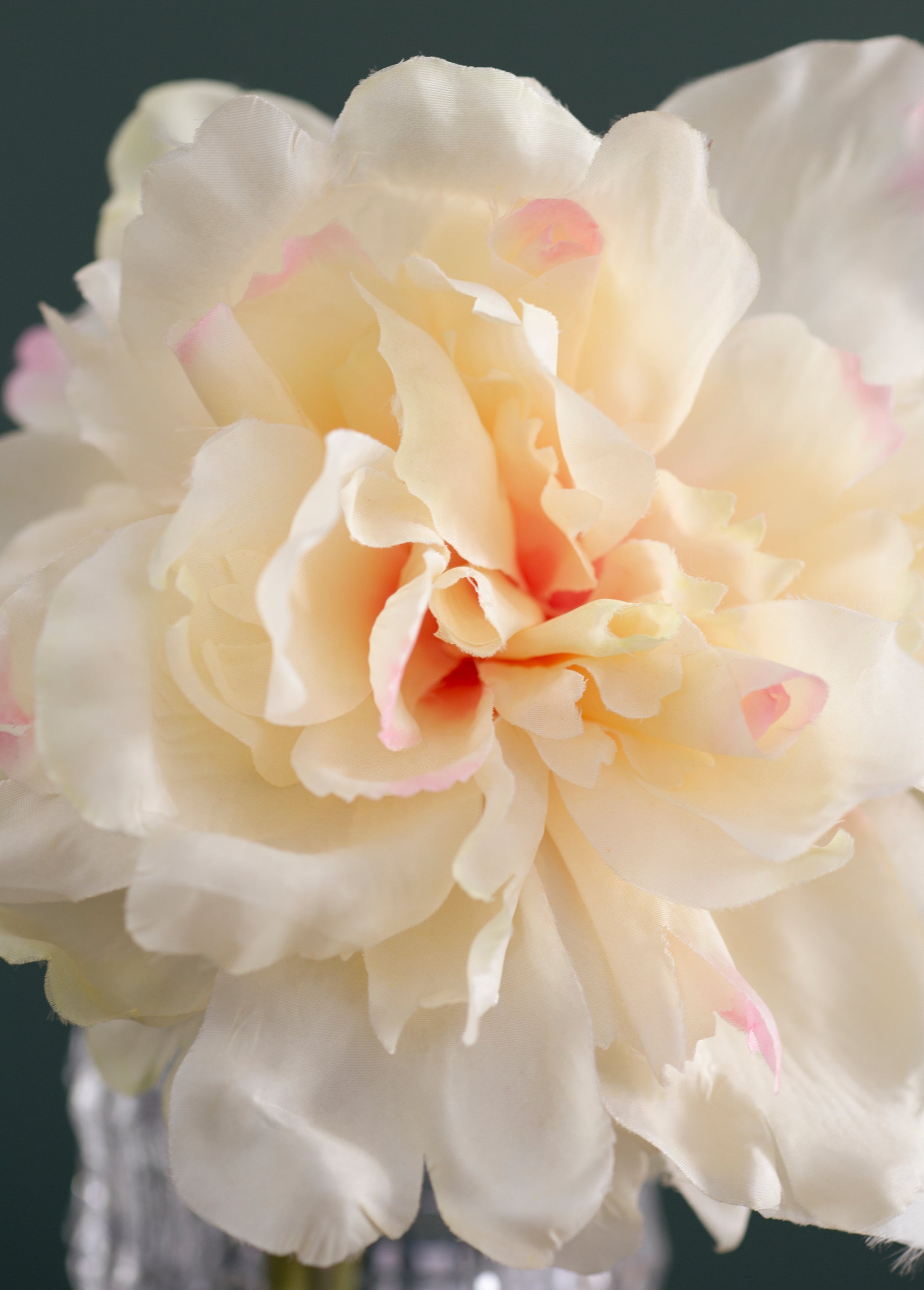 Almost Real 14" Peony - White with Pink, 4 Pack