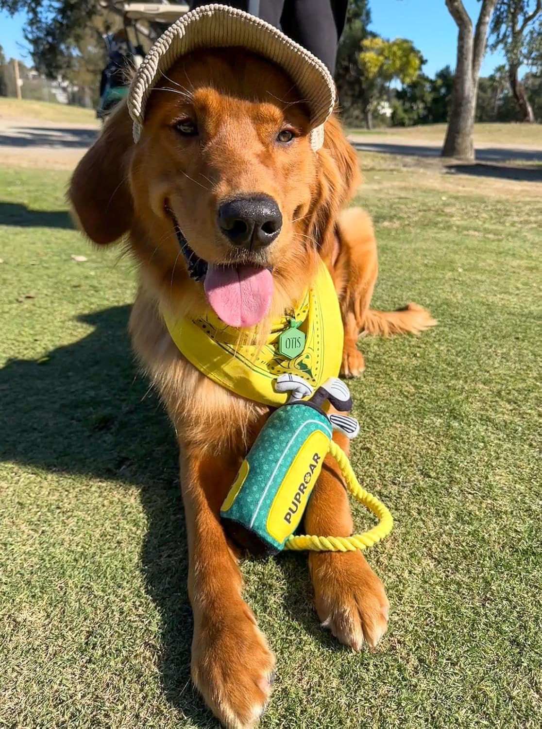 ZippyPaws Dog Toy, Funny Plush Squeaky Puppy Gift with Rope & Crinkle, Golf Bag Gift