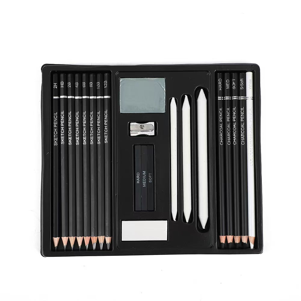 22 Piece Drawing & Sketching Pencil Set, Professional Art Kit with Graphite Pencils (12B-2H), Black & White Charcoal Pencils, Sticks, Blending Stumps, Eraser & Sharpeners