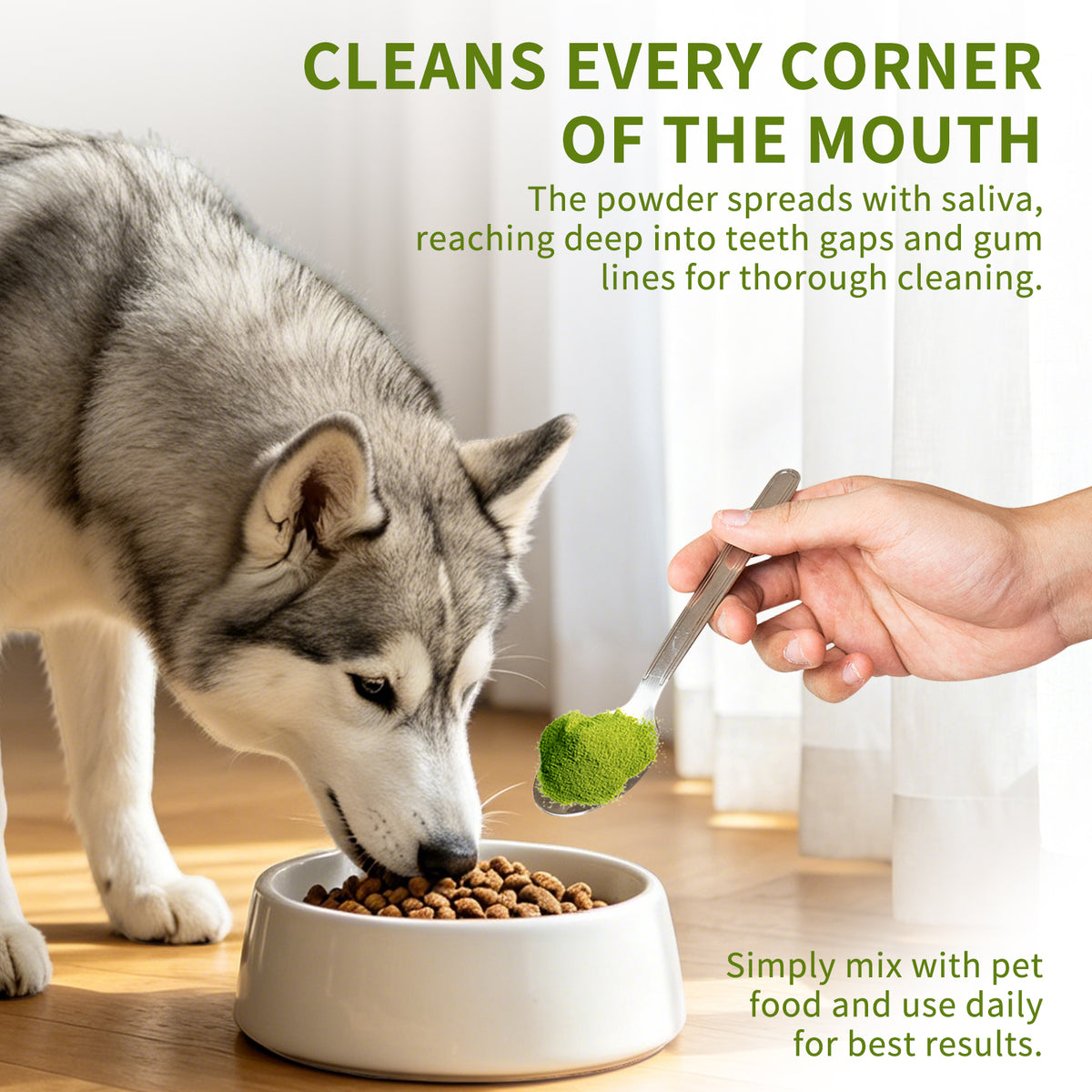 PETITRINU Dental Powder for Cats & Dogs, 5.29 oz - Natural Plaque & Tartar Control, Fresh Breath Freshener, Just Mix into Food