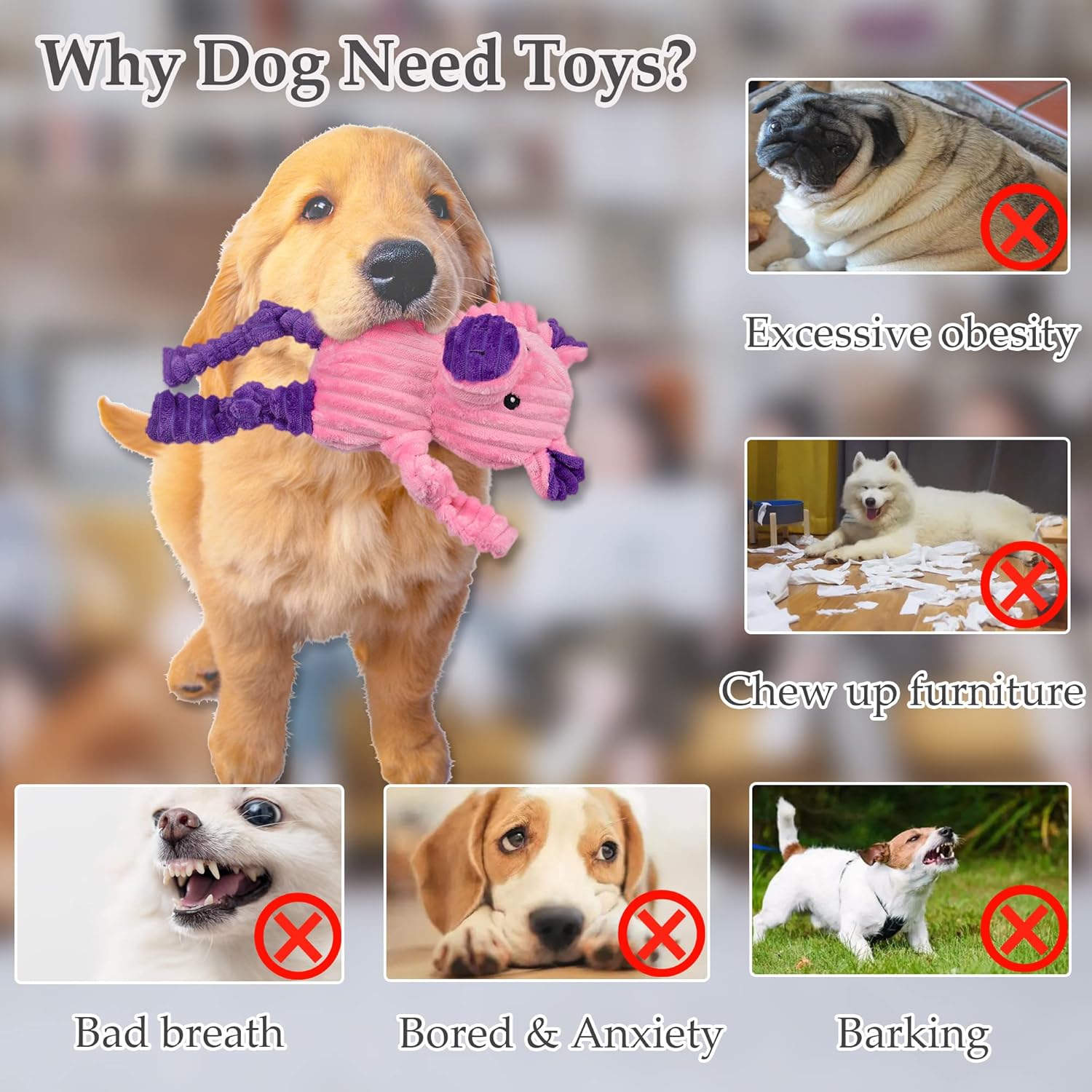 LECHONG 5 Pack Tough Dog Toys Stuffed Squeaky Dog Toys Assortment Plush Animal Dog Toy Value Bundle Puppy Pet Dog Toys for Small Medium Large Dogs : Pet Supplies