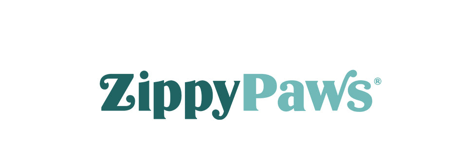 ZippyPaws Adventure Boots - Dog Shoes for Paw Protection from Hot and Cold, Dog Booties for Winter & Summer, Dog Shoes for Large & Small Dogs - Teal, XS - Size 3