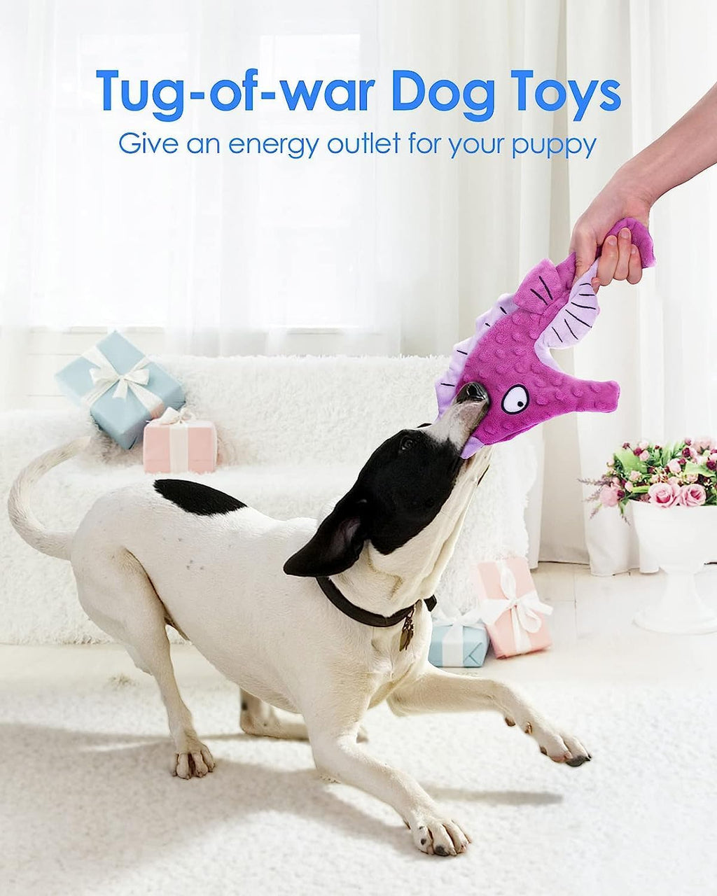 Artinova Dog Toys Squeaky Crinkle Purple Seahore, 1 Pack. No Stuffing Dog Toys for Puppy Teething Chewing, Durable Interactive Toys for Medium and Large Dogs