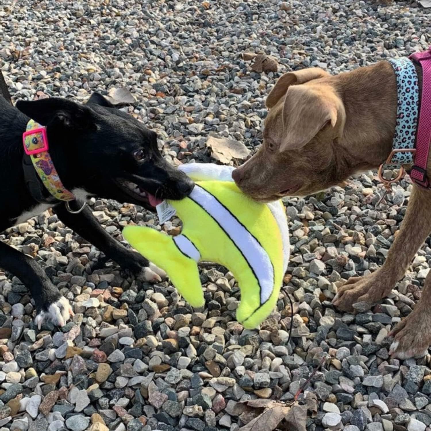 Snuggle Puppy Tender-Tuffs - Angelfish Plush Toy for Big Dogs - Puncture Resistant Squeaker - Durable Stuffed Animal Plush to Keep Them Busy