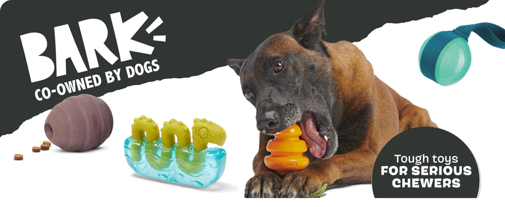 Barkbox Grey Bear Hugger Super Chewer 2-in-1 Plush Exterior Hard Core Plush Toy, Large Breeds