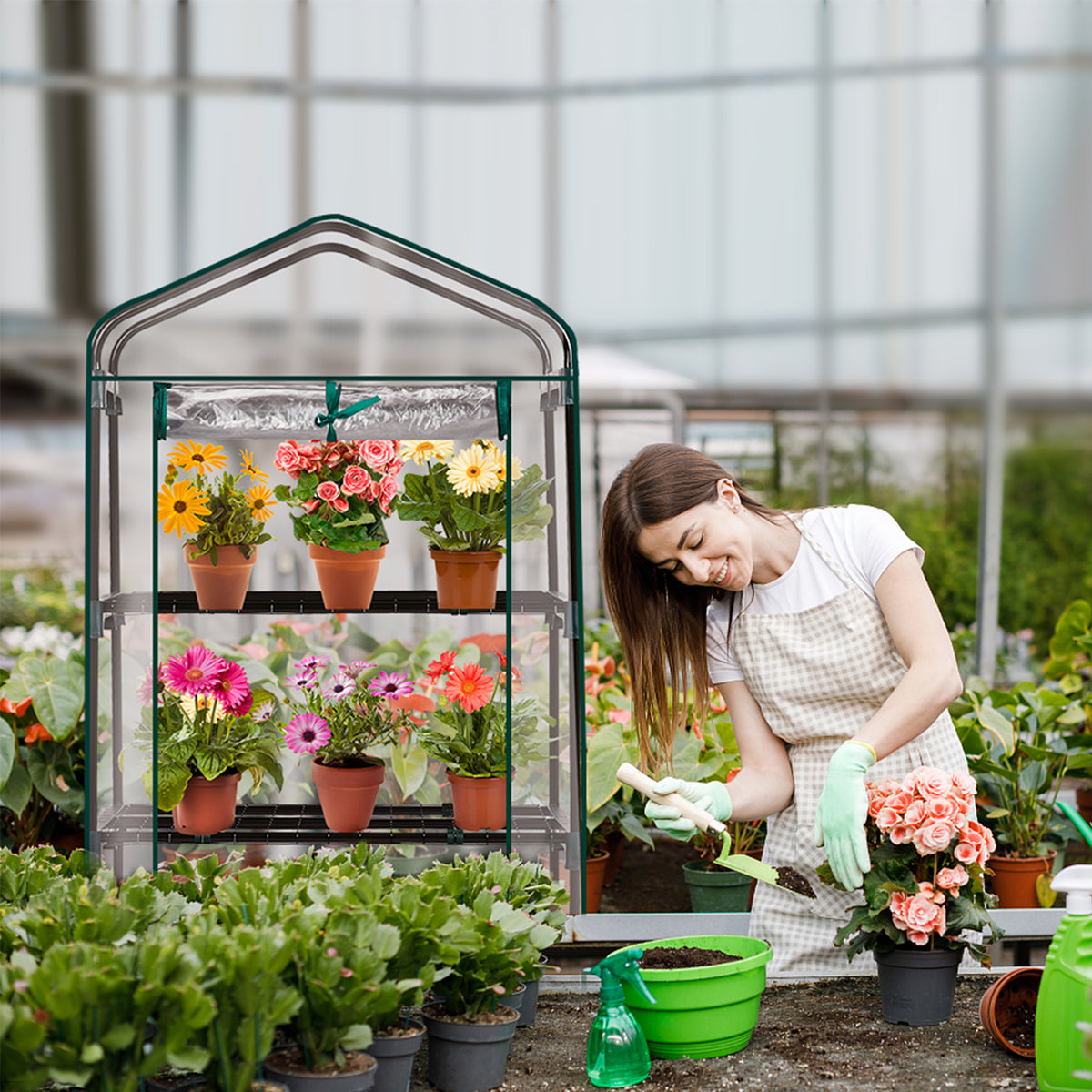 AEELLEEA-4-4-Tier Mini Greenhouse with PVC Cover & Roll-Up Zipper Door, Portable Waterproof Greenhouse for Garden Backyard. 27"x19"x62", transparent cover guards plants, easy to assemble & move, ideal for seedlings