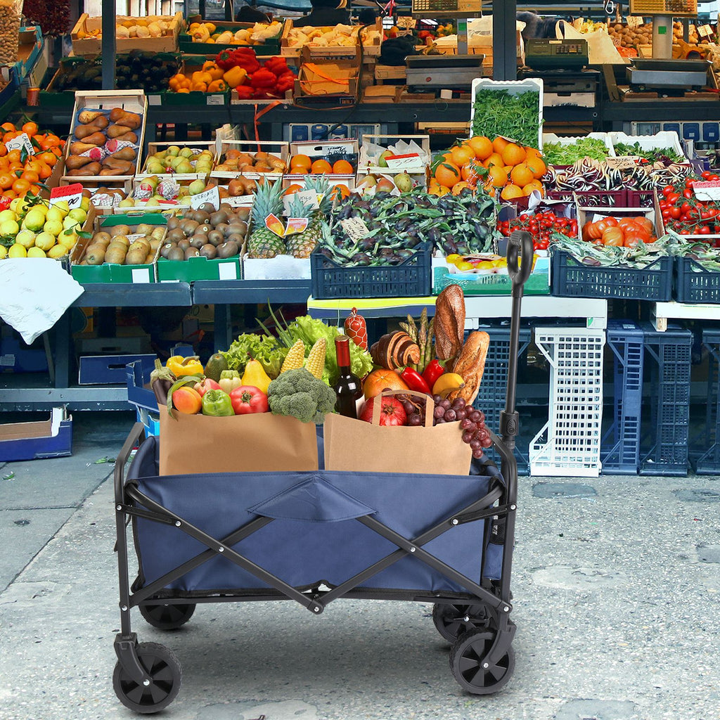 AEELLEEA Foldable Utility Wagon Cart, 220 lb Capacity, 600D Oxford Fabric with Metal Frame, Blue & Silver