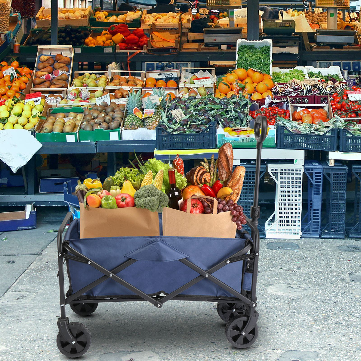 AEELLEEA Foldable Utility Wagon Cart, 220 lb Capacity, 600D Oxford Fabric with Metal Frame, Blue & Silver