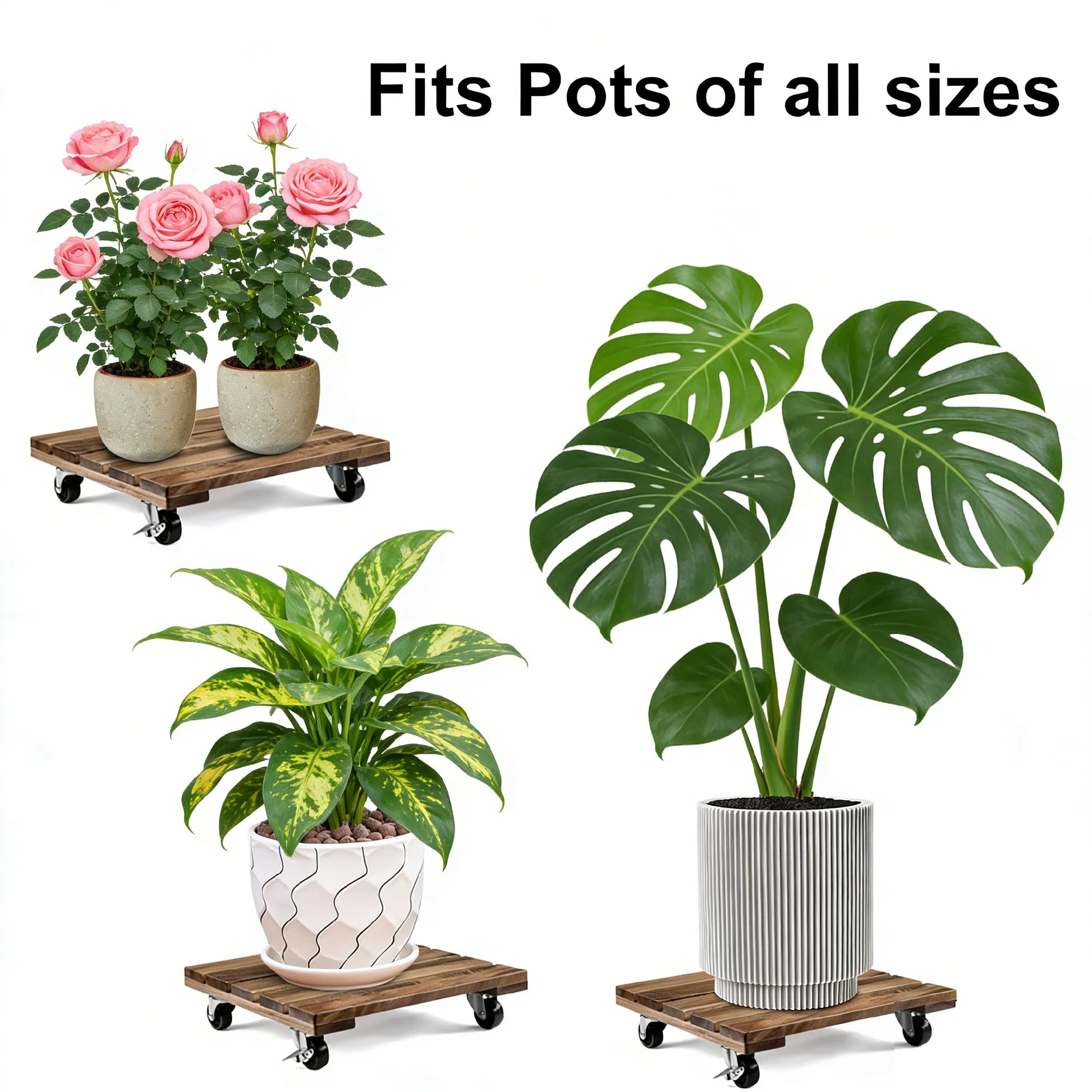 12 Inch Square Solid Acacia Wood Plant Caddy with Lockable 360° Swivel Wheels, Heavy‑Duty Rolling Plant Dolly, Water‑Resistant Plant Stand for Indoor & Outdoor Potted Plants