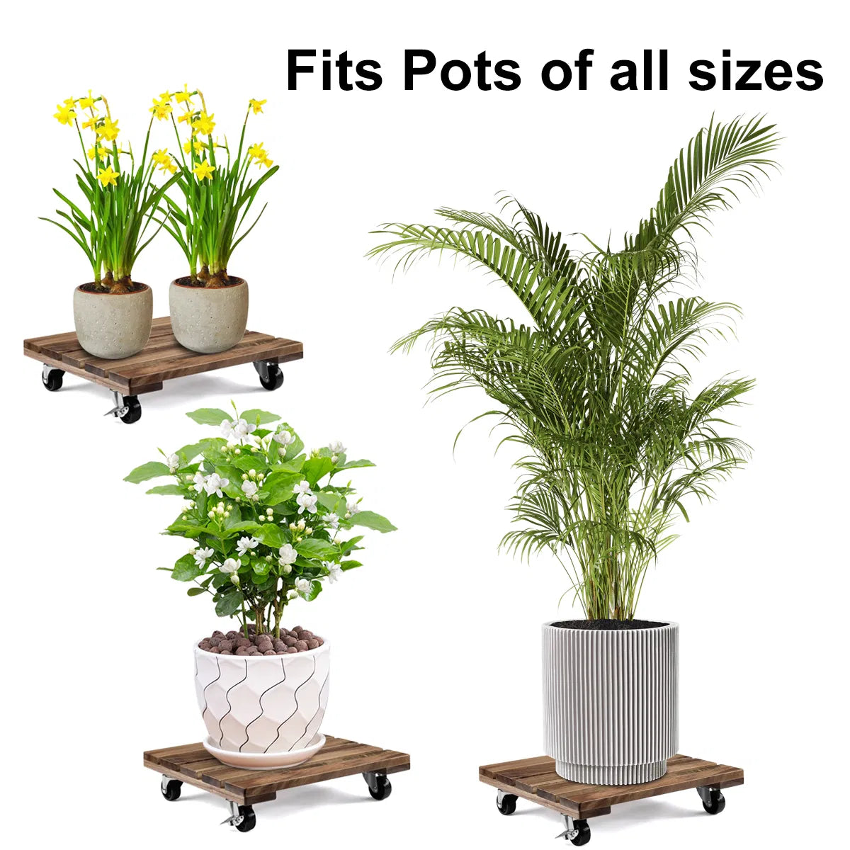 12 Inch Square Solid Acacia Wood Plant Caddy with Lockable 360° Swivel Wheels, Heavy‑Duty Rolling Plant Dolly, Water‑Resistant Plant Stand for Indoor & Outdoor Potted Plants