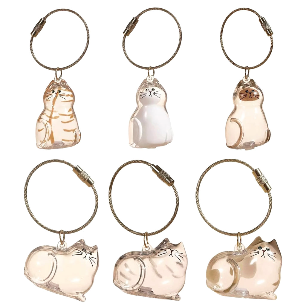 AEELLEEA 6 Pack Cat Hair Keepsake Pendant Keychain, Pet Memorial Fur Locket for Cat Loss, Clear Cat Charm for Cat Lovers