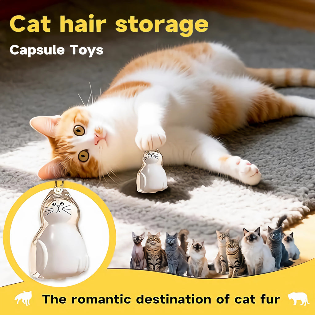 AEELLEEA 6 Pack Cat Hair Keepsake Pendant Keychain, Pet Memorial Fur Locket for Cat Loss, Clear Cat Charm for Cat Lovers