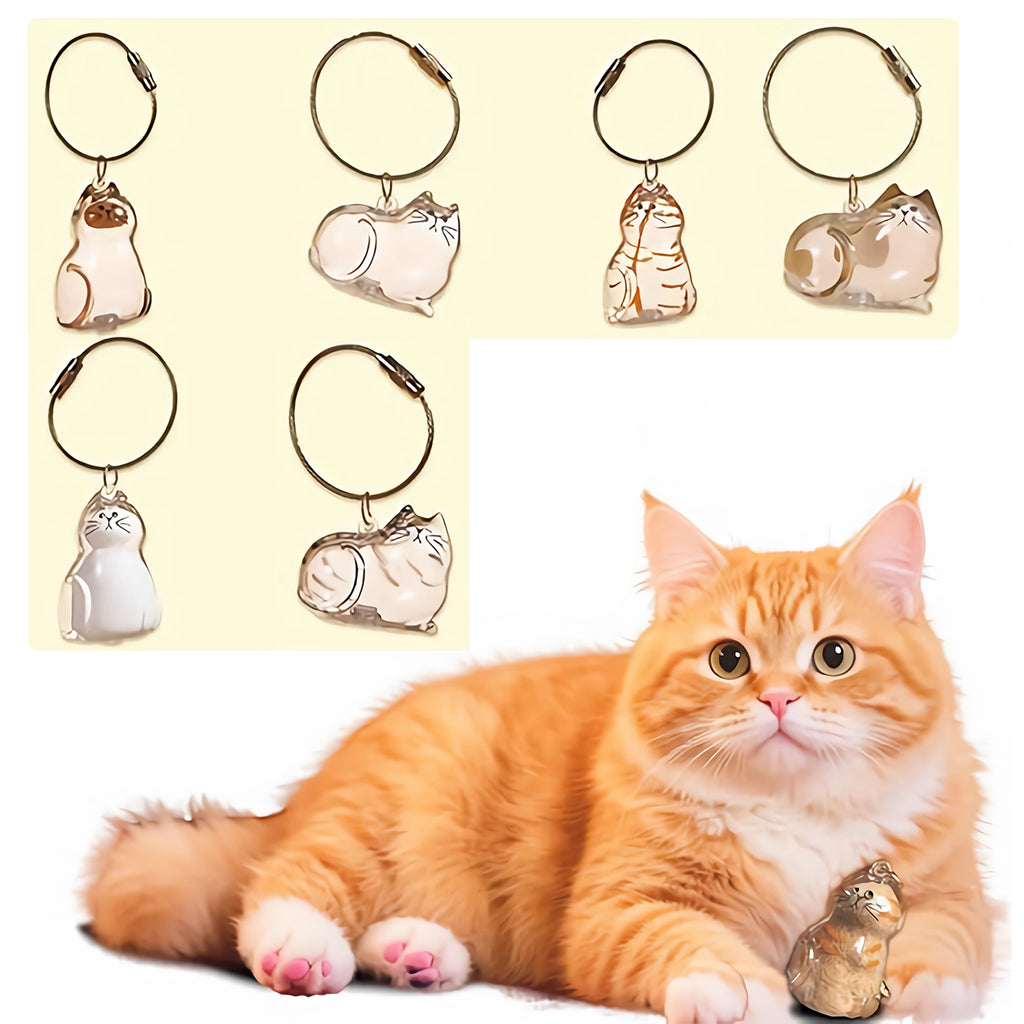 AEELLEEA 6 Pack Cat Hair Keepsake Pendant Keychain, Pet Memorial Fur Locket for Cat Loss, Clear Cat Charm for Cat Lovers