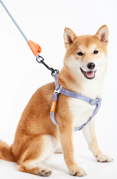 Adjustable Dog Harness and Leash Set for Medium Dogs, No Pull Vest with Padded Handle, 48"Rope Leash, 19.68"-29.5" Chest Girth