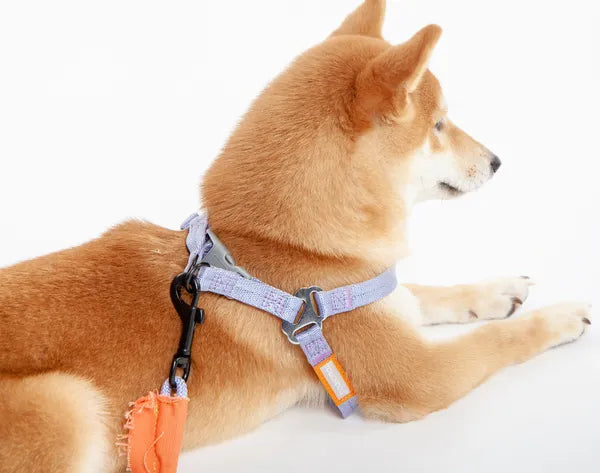 Adjustable Dog Harness and Leash Set for Medium Dogs, No Pull Vest with Padded Handle, 48"Rope Leash, 19.68"-29.5" Chest Girth