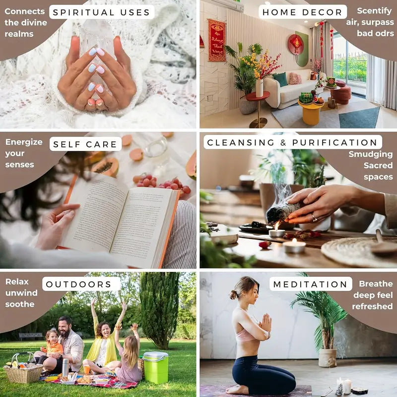 6 Scents Natural Fruit Floral Incense Sticks, 25.5cm Aromatherapy Sticks for Home Meditation Outdoor Odor Eliminator