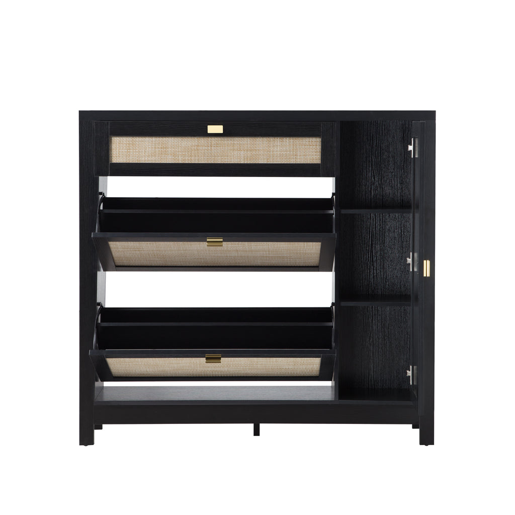 Shoe Storage Cabinet