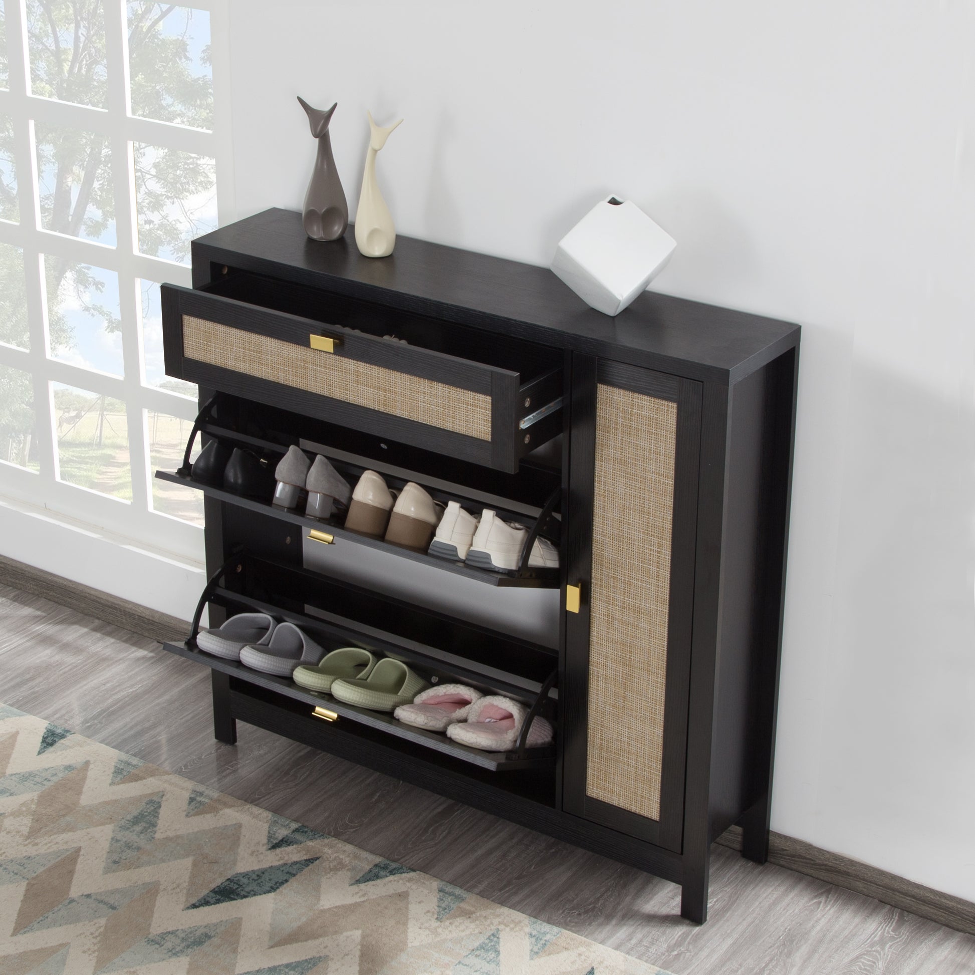 Shoe Storage Cabinet