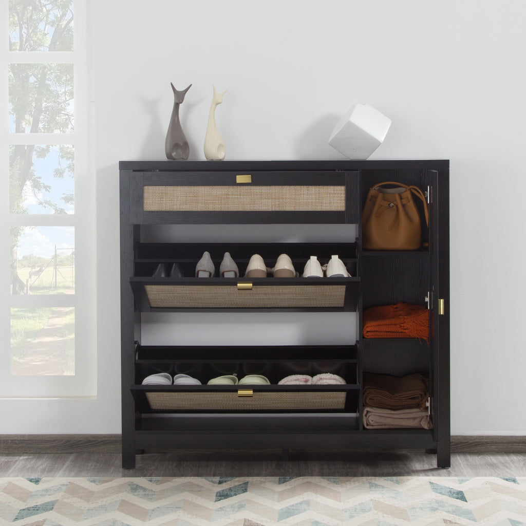 Shoe Storage Cabinet