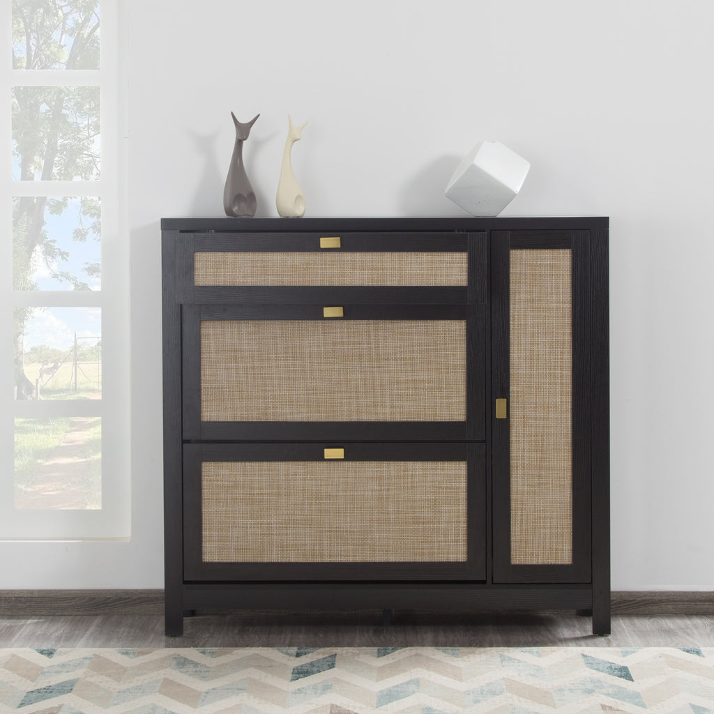 Shoe Storage Cabinet