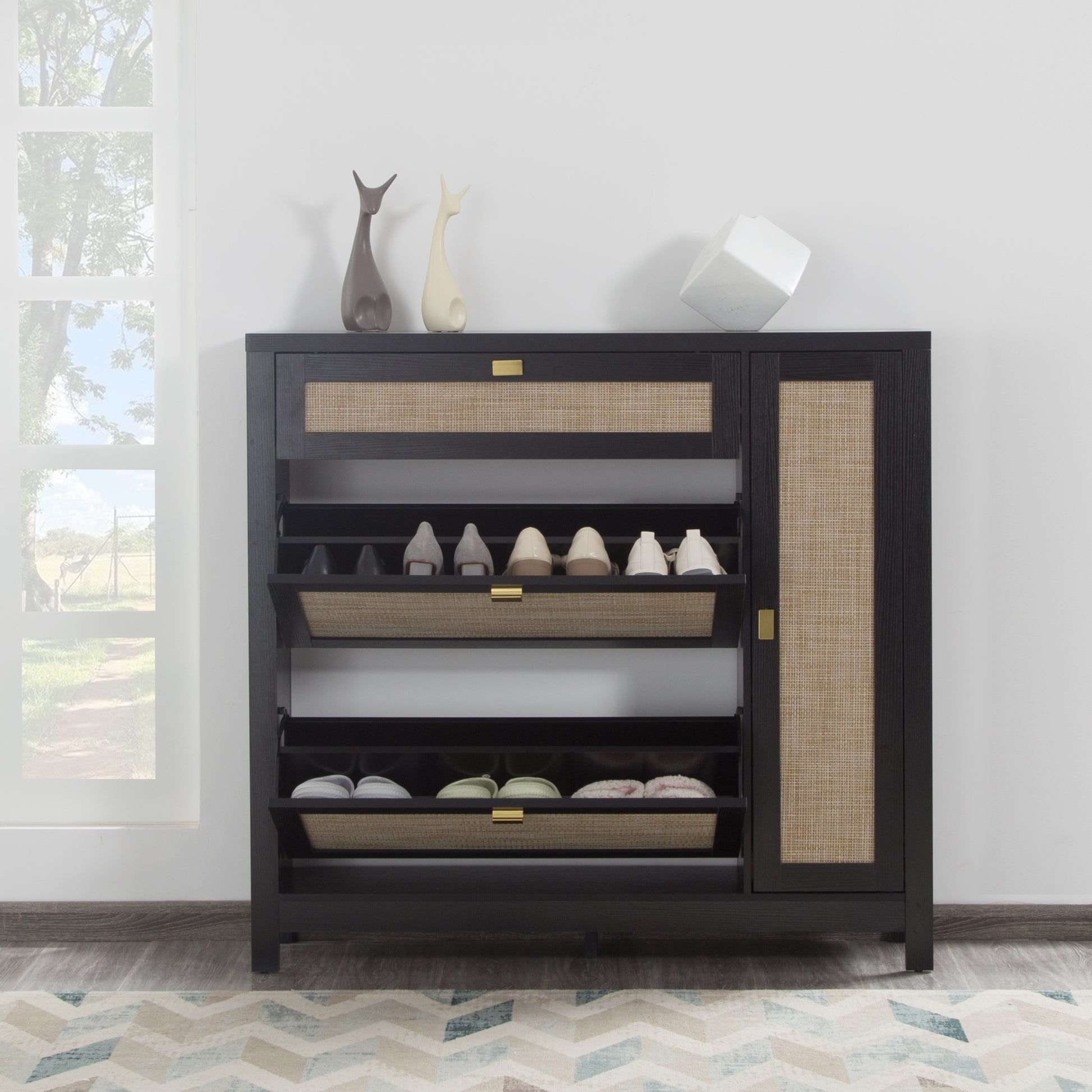 Shoe Storage Cabinet