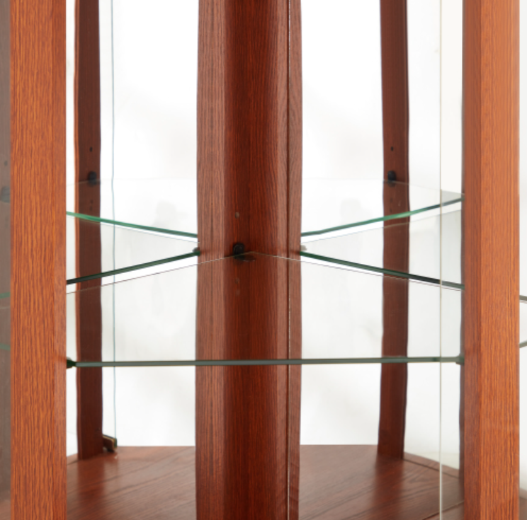 AEELLEEA Hexagonal Glass Curio Cabinet, Adjustable Tempered Glass Shelves, Mirrored Back, Magnetic Doors