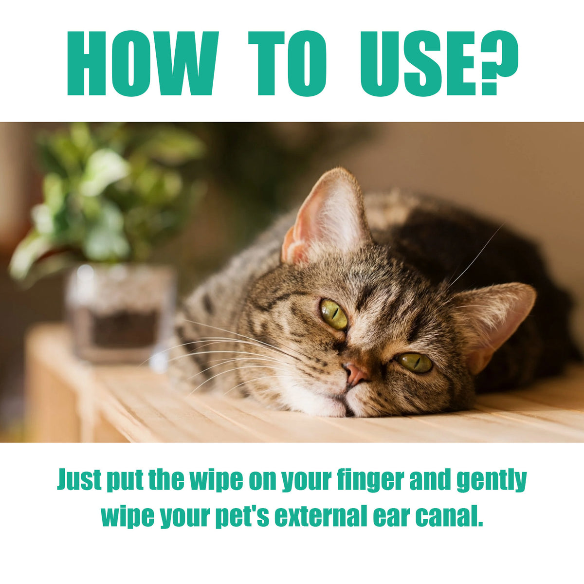 Dogs & Cats Pet Cleaning Wipes - 50 Count - Finger Design for Ears, Eyes & Paws, Deodorizing