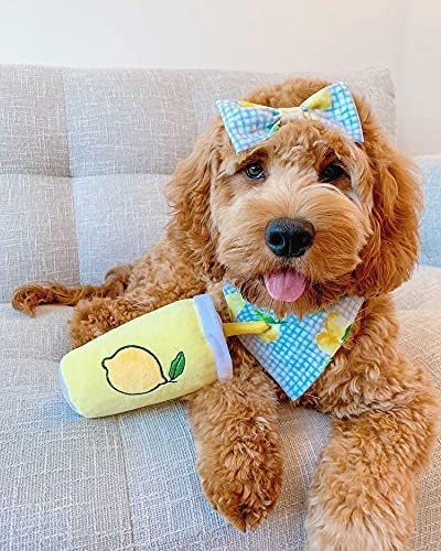ZippyPaws Crinkle Plush Cute Dog Toys, Popsicle, Watermelon, Lemonade (Summertime Combo)