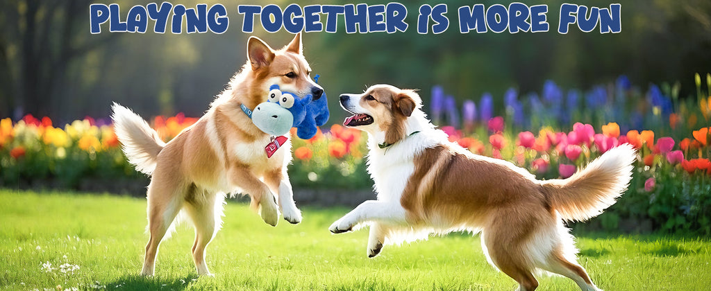 ZippyPaws Dog Toy Cute Plush Dog Toys Safe Puppy Teething Chewing forBreed Stuffed Hours of Fun