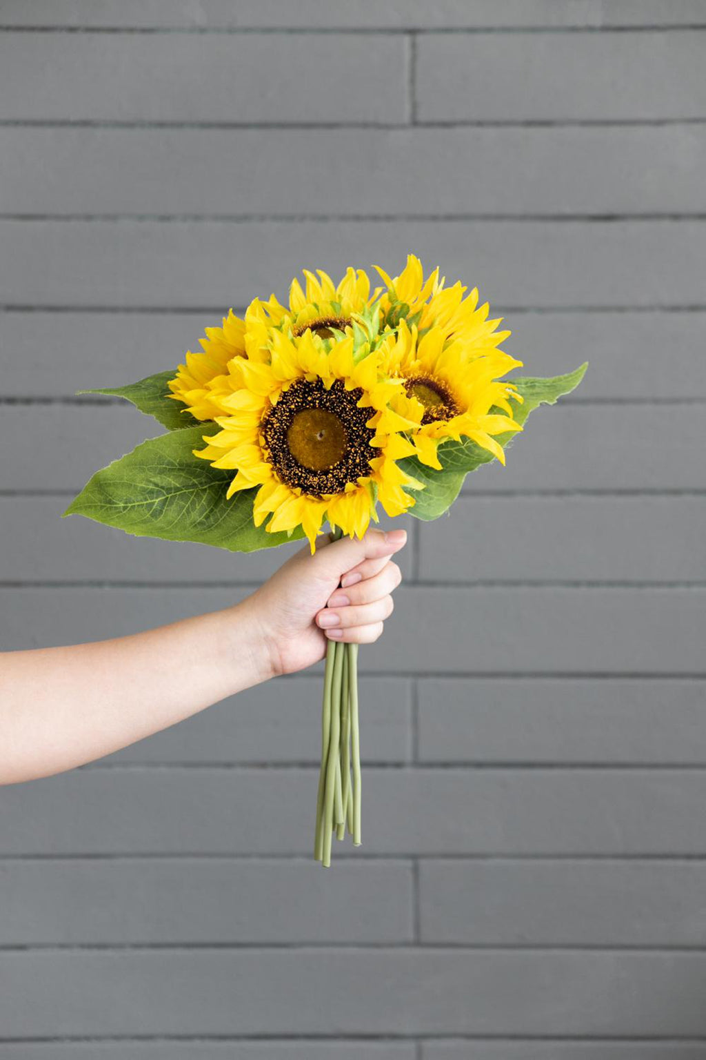 Set of 3, 14x14x15" Sunflower Bundle X7